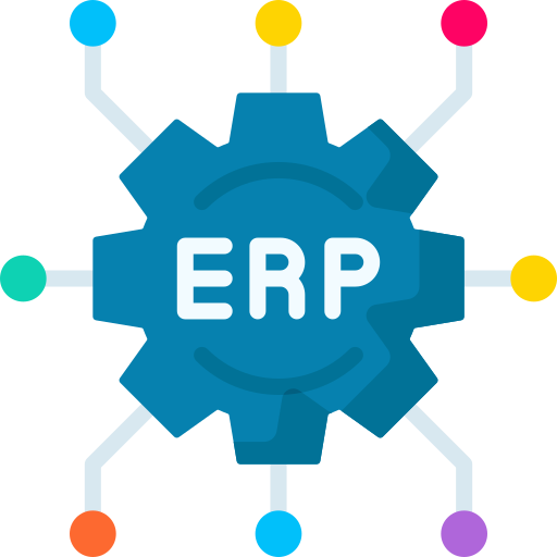 erp (1)